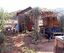 My two wooden huts and me with the fiddle - foto: Regina F. Rau Germany